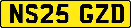 NS25GZD