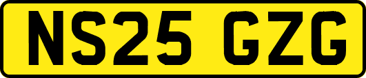 NS25GZG
