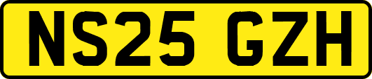 NS25GZH