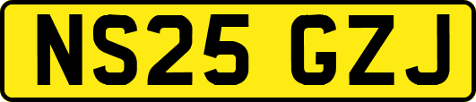 NS25GZJ