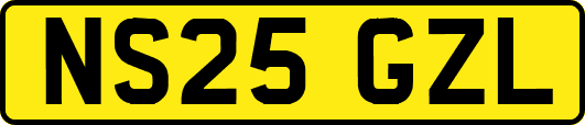 NS25GZL