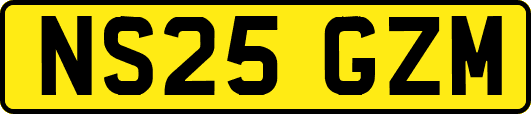 NS25GZM