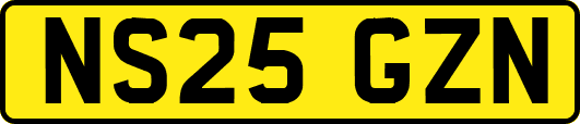 NS25GZN