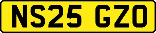 NS25GZO