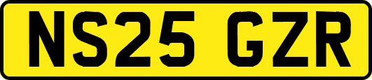 NS25GZR