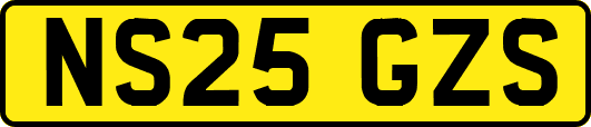 NS25GZS