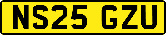 NS25GZU
