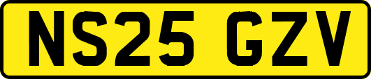 NS25GZV