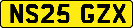 NS25GZX