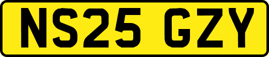 NS25GZY