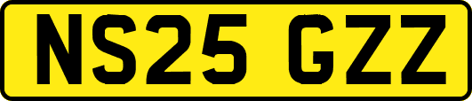NS25GZZ