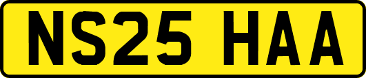NS25HAA