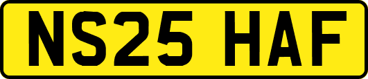NS25HAF