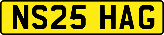 NS25HAG