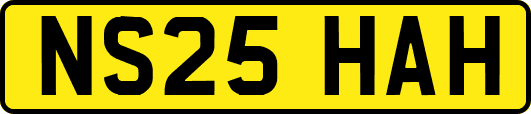 NS25HAH