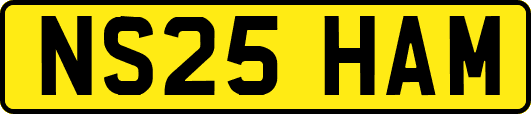NS25HAM