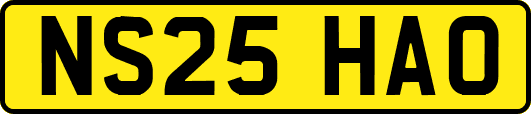 NS25HAO