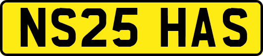 NS25HAS