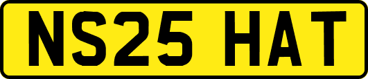 NS25HAT