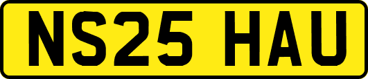 NS25HAU