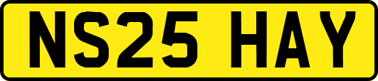 NS25HAY