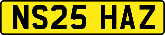NS25HAZ