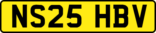 NS25HBV