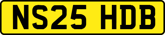 NS25HDB