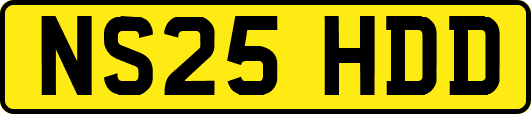 NS25HDD