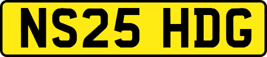 NS25HDG