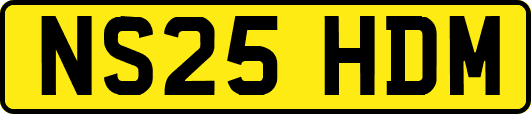 NS25HDM
