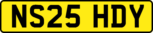 NS25HDY