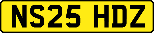 NS25HDZ