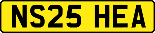 NS25HEA
