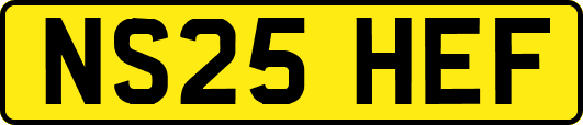 NS25HEF
