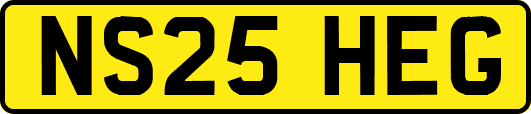 NS25HEG