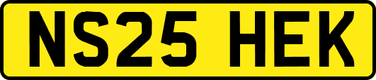 NS25HEK