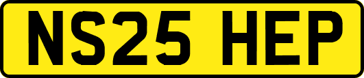 NS25HEP