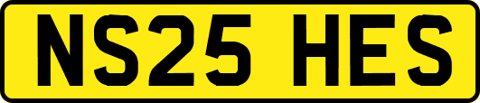 NS25HES