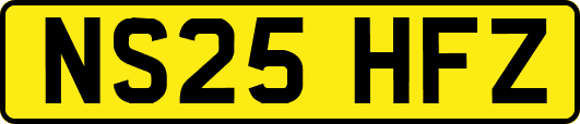 NS25HFZ