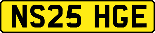 NS25HGE