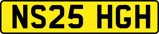 NS25HGH