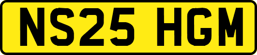 NS25HGM