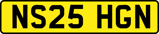 NS25HGN