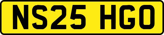 NS25HGO