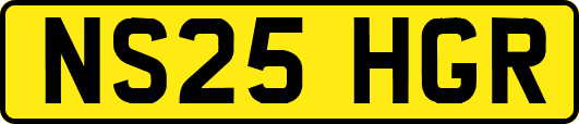 NS25HGR