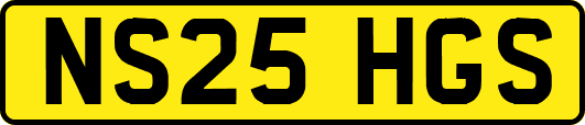 NS25HGS