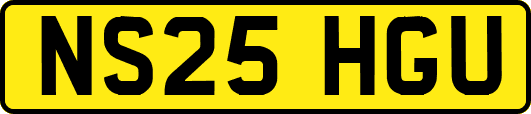NS25HGU