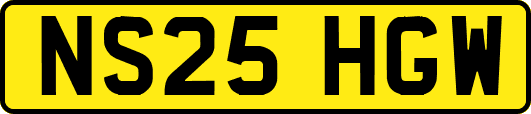NS25HGW