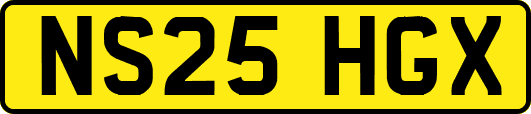 NS25HGX